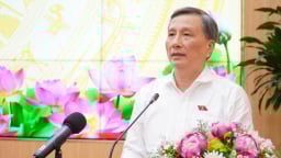 Cần Thơ cần nâng cao hiệu quả thực thi pháp luật bảo vệ môi trường
