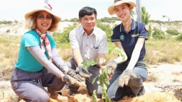 Phát động chiến dịch 'Chung sức trồng rừng' vì một Việt Nam xanh hơn