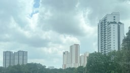 TP.HCM thống nhất duy trì hoạt động Tổ Công tác 5013