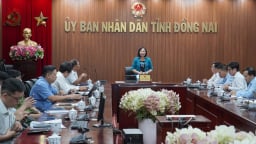 Đồng Nai họp bàn khống chế dịch tả heo Châu Phi