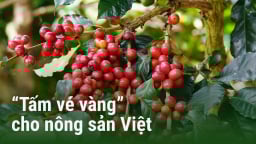'Tấm vé vàng' cho nông sản Việt: [Bài 1] EU - thị trường tỷ USD còn bỏ ngỏ