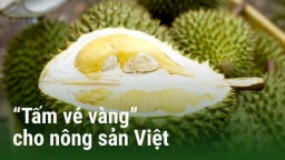 'Tấm vé vàng' cho nông sản Việt: [Bài 2] Trung Quốc không còn là thị trường dễ tính