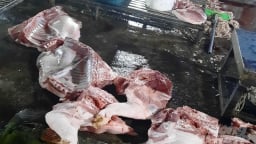Bị đánh nhập viện sau khi nhắc nhở lò mổ trái phép gây ô nhiễm