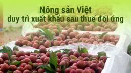 Xuất khẩu rau quả hướng tới mốc 8 tỷ USD