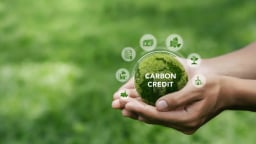 Công nghệ số và giải pháp thiên nhiên thúc đẩy tín chỉ carbon