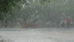 Bộ NN-MT đề nghị các vùng núi Bắc Bộ khẩn trương ứng phó mưa lớn