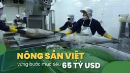 Kiến nghị sửa đổi khẩn cấp nghị định về khai thác cá ngừ
