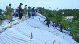 Thanh Hóa: Khẩn trương xử lý sự cố sụt lún đê ở xã Thọ Lập