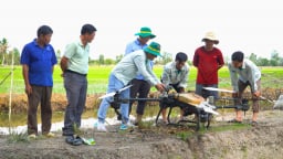 Sắp xếp lại hệ thống khuyến nông phù hợp bối cảnh mới
