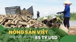 Xuất khẩu sắn lấy lượng bù giá