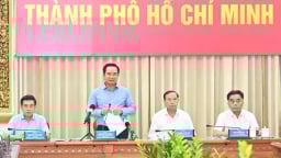 Phân công nhiệm vụ Chủ tịch và 7 Phó Chủ tịch UBND TP.HCM