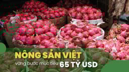 Thanh long Lâm Đồng: Xuất khẩu tăng tốc, vượt qua thách thức