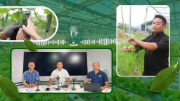 Tri thức phố về làm nông – xu thế hay phong trào?