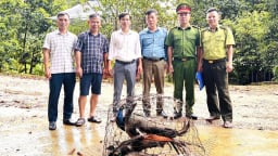 Tiếp nhận 130 cá thể động vật hoang dã quý hiếm