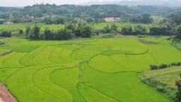 Phòng ngừa các đe dọa an ninh phi truyền thống lĩnh vực nông nghiệp