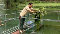 Đổi đời từ dòng sông quê