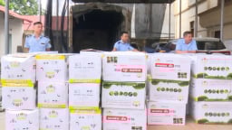 Thu giữ hơn 1 tấn thuốc bảo vệ thực vật không rõ nguồn gốc