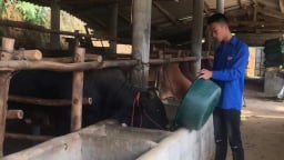 Lạng Sơn xây dựng lực lượng nông dân số