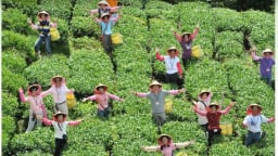 Du lịch nông nghiệp, nhìn từ chiều sâu môi trường