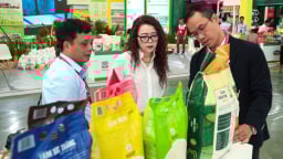 Từ hạt gạo nuôi quân đến thương hiệu gạo Việt trên thế giới