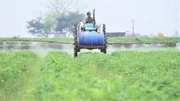 Những cỗ máy thay sức người cùng tám thập kỷ đổi thay trên đồng ruộng