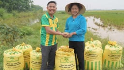 Dùng phân bón Tiến Nông, nông dân lãi gần 400 triệu đồng/vụ