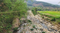 Bình Liêu 'khát nước' giữa mùa gieo cấy