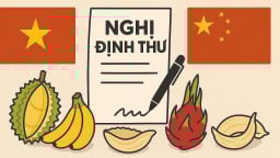 Thị trường nông sản Việt đa kênh, đa hướng: [Bài 2] Những 'nghị định thư mở đường'