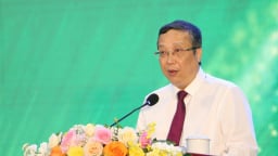 Xây dựng thương hiệu quốc gia cho hoa Việt Nam