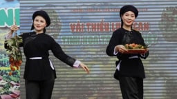 Trải nghiệm vải thiều Lục Ngạn ngay tại vườn