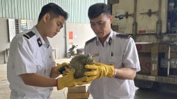 Xuất khẩu nông sản qua cửa khẩu tại Lạng Sơn tăng mạnh