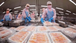 Mỹ áp thuế thủy sản nhập khẩu, Việt Nam linh hoạt giữ thị phần