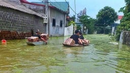 Chuyển dòng nước xóa vùng phân lũ: [Bài 2] Mùa 'cả thôn náo loạn'