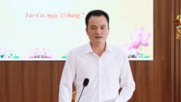 Lào Cai thu hơn 103 tỷ đồng dịch vụ môi trường rừng trong 6 tháng