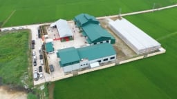 Hàn Quốc bàn giao 'Cải tiến chuỗi giá trị lúa gạo vùng ĐBSH' cho Thái Bình