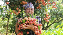Bát Trang tiến lên nông thôn mới kiểu mẫu trên quê hương anh hùng