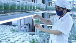 Nghị quyết 57: Luồng sinh khí mới cho khoa học công nghệ