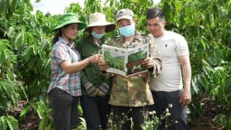 Bộ tài liệu IPHM đầu tiên cho ngành cà phê