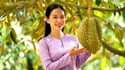 Tìm giải pháp thúc đẩy chuỗi cung ứng sầu riêng xuyên biên giới