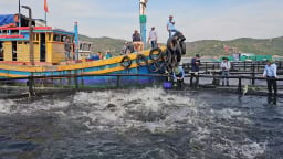 Khánh Hòa chi 545 tỷ đồng cho nuôi biển công nghệ cao