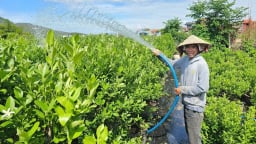 Agribank Chi nhánh Phú Yên trợ lực cho tam nông