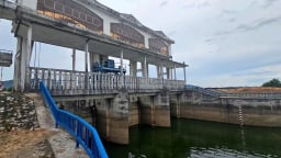 Nước tưới dồi dào, lúa hè thu vững vàng đến cuối vụ