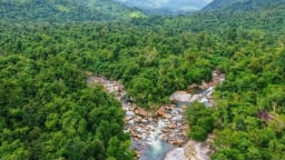 Mời gọi đầu tư du lịch sinh thái tại rừng phòng hộ Ninh Hòa-Vạn Ninh