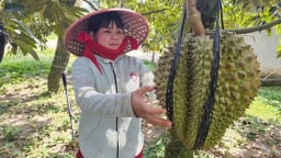 Giảm nghèo vùng dân tộc thiểu số: [Bài 1] Ghi nhận ở xã Khánh Sơn