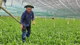 Diên Điền chuyển mình, đổi thay từ nông thôn mới