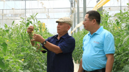 Ngân hàng  tiếp sức nông nghiệp công nghệ cao