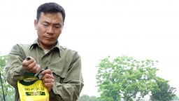 Men vi sinh - ‘lá chắn’ giữ ao nuôi sạch, cá lớn khỏe