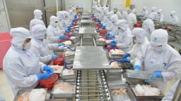 Thủy sản 'vững sóng' vươn tầm [Bài cuối]: Công nghệ và FTA - 'đôi cánh’ bay xa