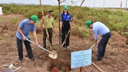 Bến Tre trồng 5 triệu cây 'xanh hóa' không gian sống