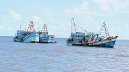 Cà Mau siết chặt quản lý khai thác, bảo vệ nguồn lợi thủy sản